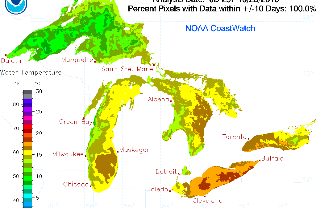 Great Lakes CoastWatch Research Assistant