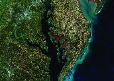 Hypoxia in the Gulf of Mexico & Chesapeake Bay