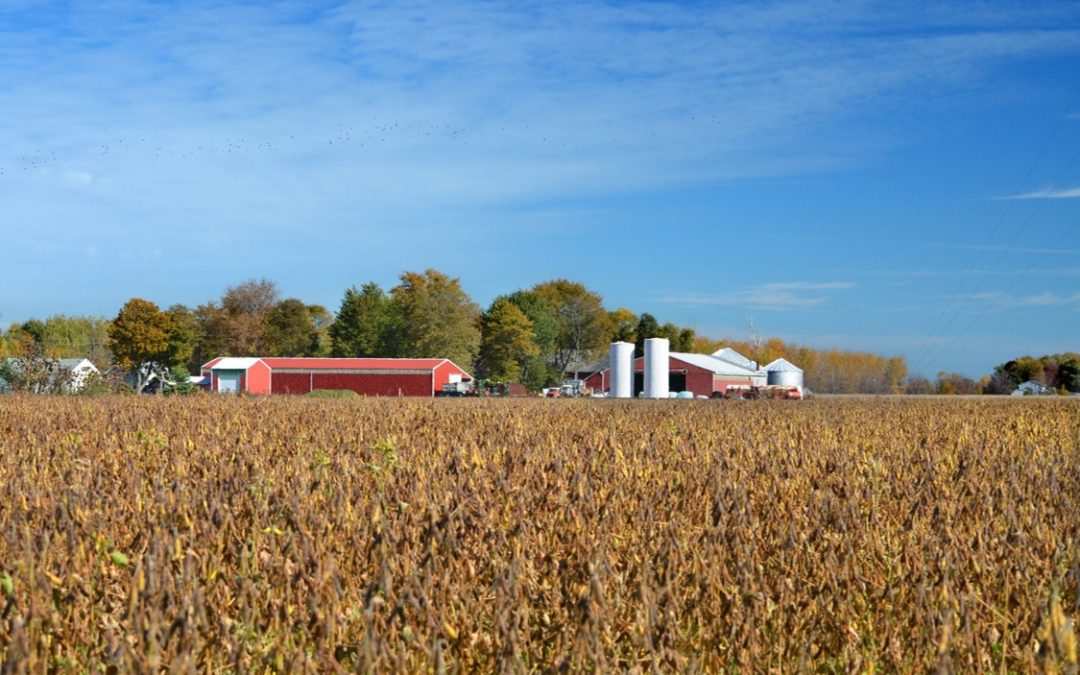 Agricultural Decision Support