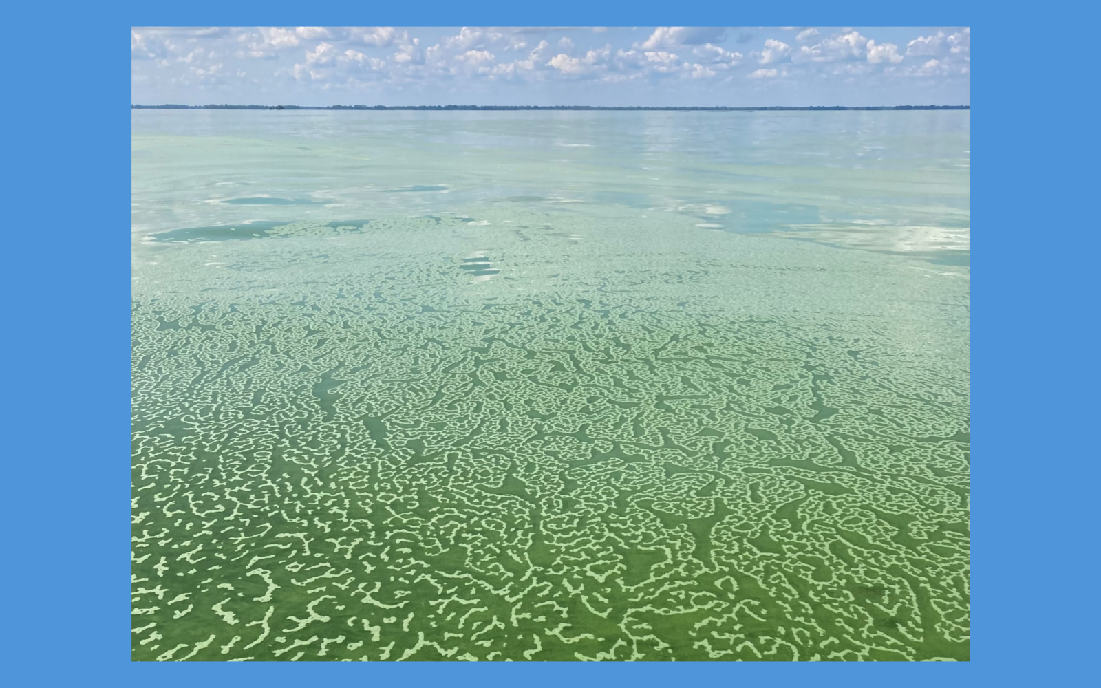 Lake Erie produces ‘forbidden soup’ of rotating potential toxins